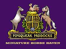 Pipsqueak Paddock