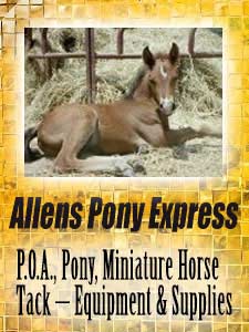 Allens Pony Express