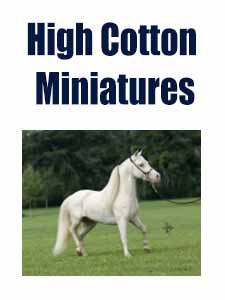High Cotton Miniatures