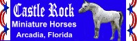 Castle Rock Miniature Horse Farm
