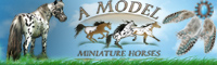 A Model Miniatures
