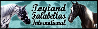 Toyland
