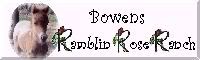 Bowens Ramblin Rose Miniature Horse Ranch