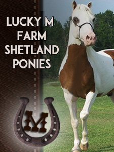 Lucky M Farm