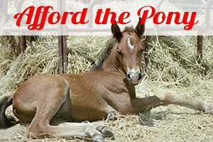 Afford The Pony