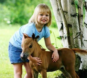 Lil Beginnings Miniature Horses