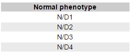 Normal Mini Horse phenotypes