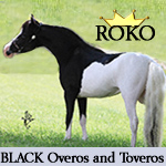 ROKO Minis