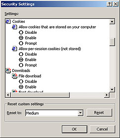 Internet Explorer Security Settings